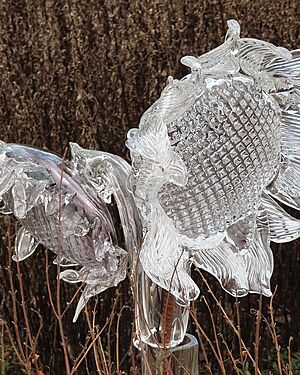 K�i���lov� zahrada, mistr Ji�� Pa�inek (Botanick� zahrada v Praze-Troji, �nor...