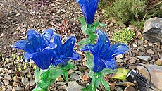 K�i��álová zahrada, mistr Ji�í Pa�inek (Botanická zahrada v Praze-Troji, únor...