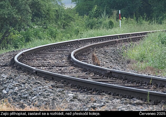 Vandr; �d�nick� les, �ervenec 2025