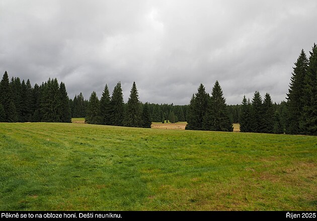�esk� les, ��jen 2025