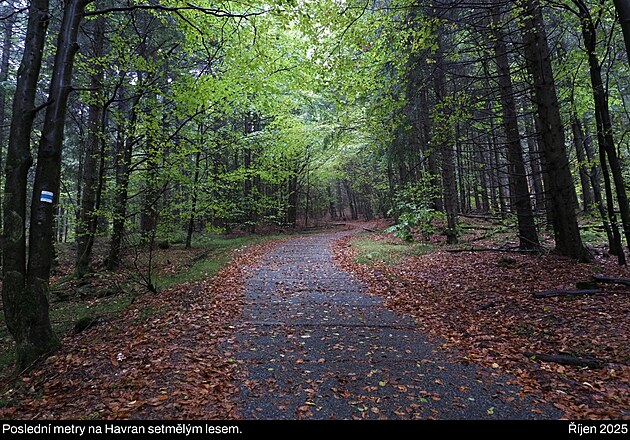 �esk� les, ��jen 2025