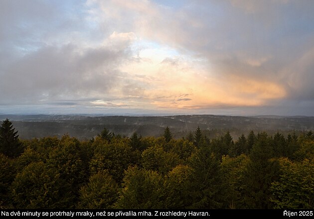 �esk� les, ��jen 2025