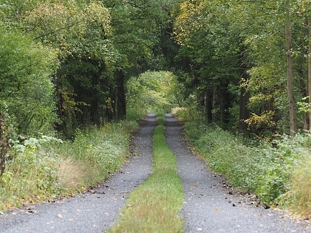 �esk� les, ��jen 2025, 3. den vandru