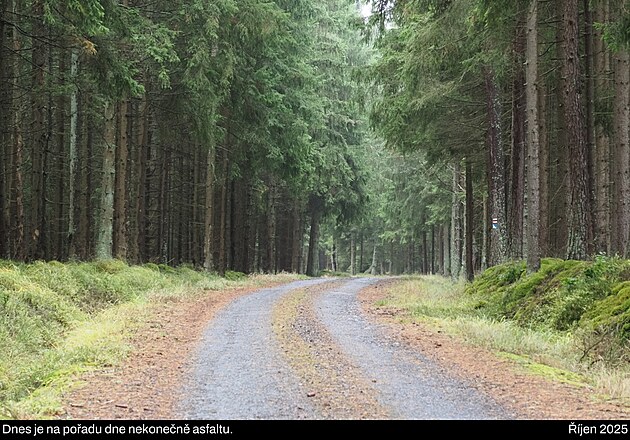 �esk� les, ��jen 2025, 3. den vandru