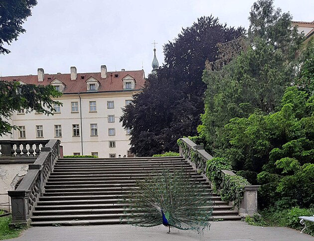 Vojanovy sady v Praze