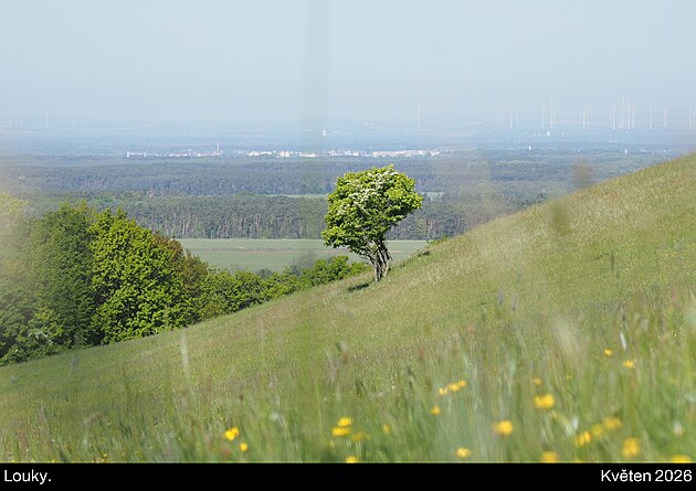 Malé Karpaty, květen 2026