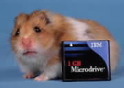 IBM Microdrive 1 GB