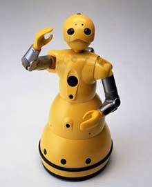 Robot Wakamaru
