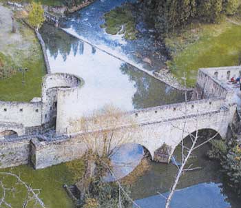 Věž