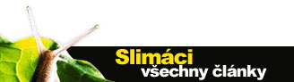 Slimci - vechny lnky