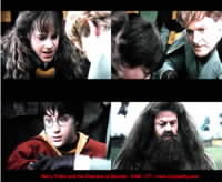 Harry Potter a Tajemn komnata