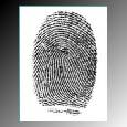 Compaq Biometric ID