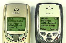 Nokia 6510