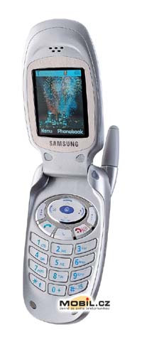 Samsung SGH-T100