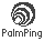 Logo PalmPing