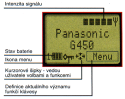 Displej Panasonicu