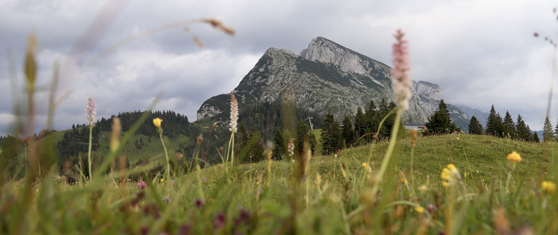 Dachstein West