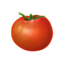 Rajčata