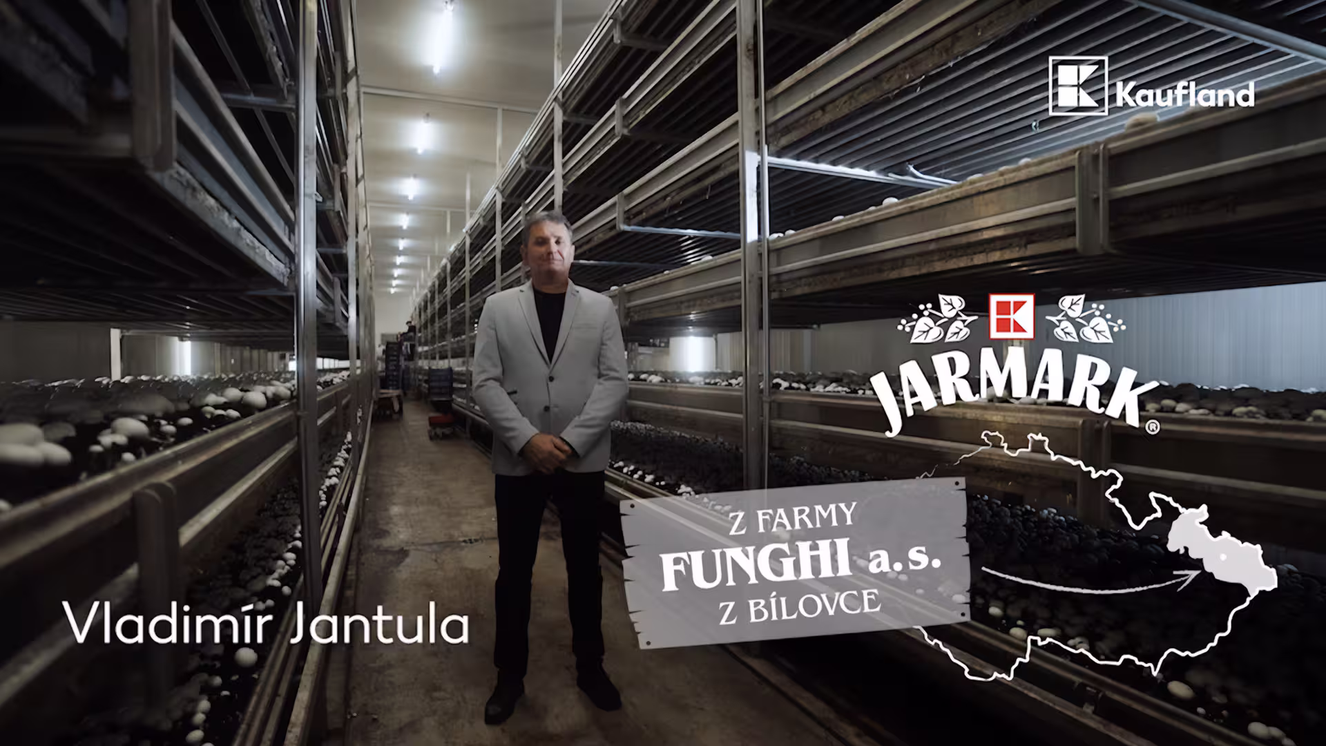 Funghi