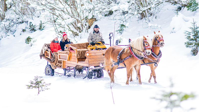 © Nadia Jabli Photography / Nadia Jabli Photography