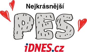 Nejkrsnj pes - iDNES.cz