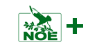 Noe+