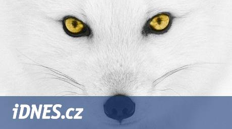 Encyklopedie Život zvířat přináší aktuální poznatky o chování živočichů -  iDNES.cz