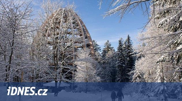 Bavorský les láká i v zimě. Na vlky, rozhlednu i stezku v korunách stromů -  iDNES.cz