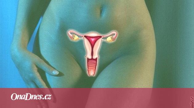 Sedm věcí, které vaši vaginu nepotěší: dětský olej, mýdlo ani sedlo -  iDNES.cz