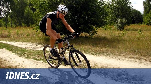Cyklistu na Domažlicku srazil z kola jelen, pak odběhl do lesa - iDNES.cz