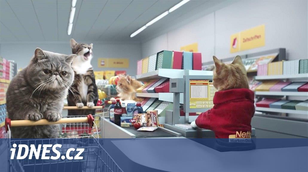 VIDEO: Roztomilé kočky nakupují v supermarketu a Němci je milují - iDNES.cz