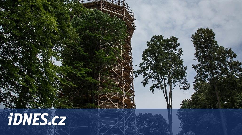 Des échafaudages médiévaux rendront la flèche de Jakobínka à Rožmberk accessible aux touristes