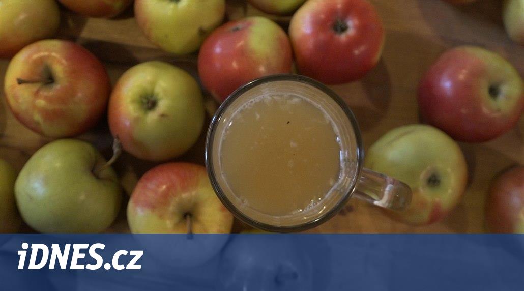 Vyrobte si domácí cider z vlastních jablek, ale neupíjejte, zkazí se -  iDNES.cz