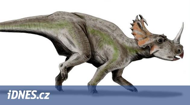 Největší masový hrob dinosaurů vznikl v tropické nížině dnešní Kanady -  iDNES.cz