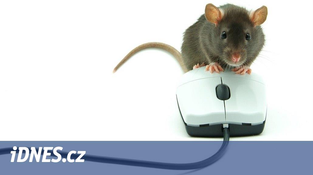 Aplikace pro tablety: náhrada myši či bezpečné připojení k wi-fi - iDNES.cz