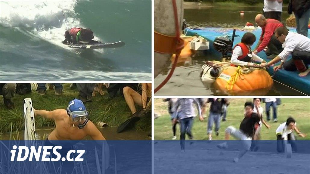 VIDEO: The world's weirdest sports are pumpkin boating or surfing with a dog