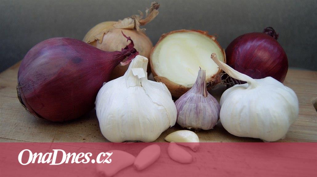 Cibule a česnek: pět důvodů, proč bychom je měli jíst - iDNES.cz