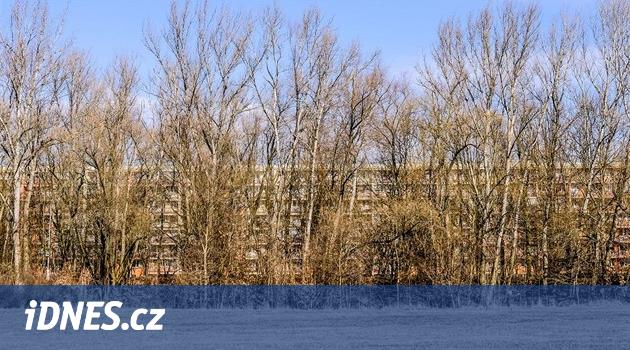 Polabiné'de Elbe yakınında beton yerine doğal bir oyun alanı olacak