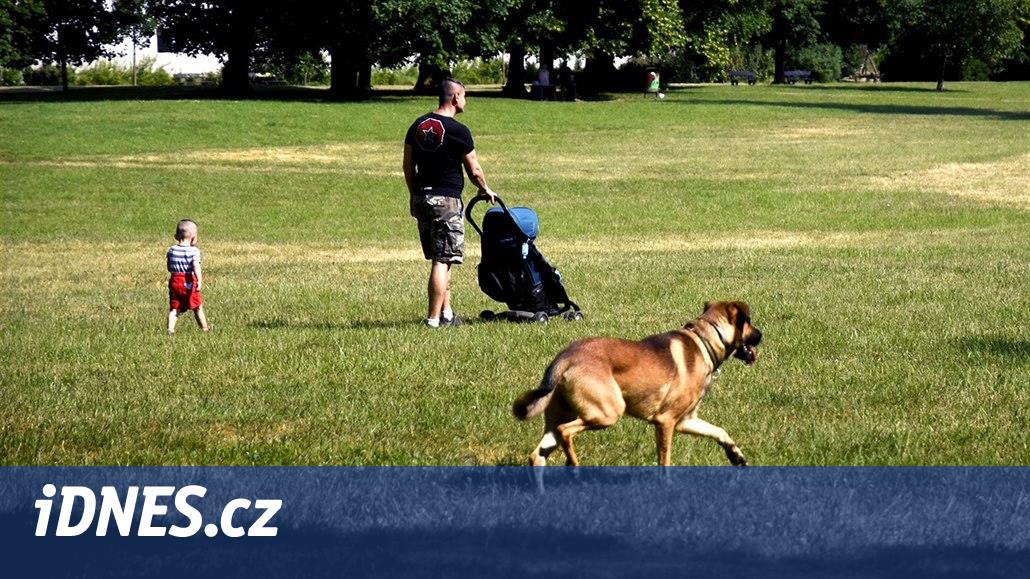 Praha chce zpřísnit venčení psů, v zeleni mají mít vodítka - iDNES.cz