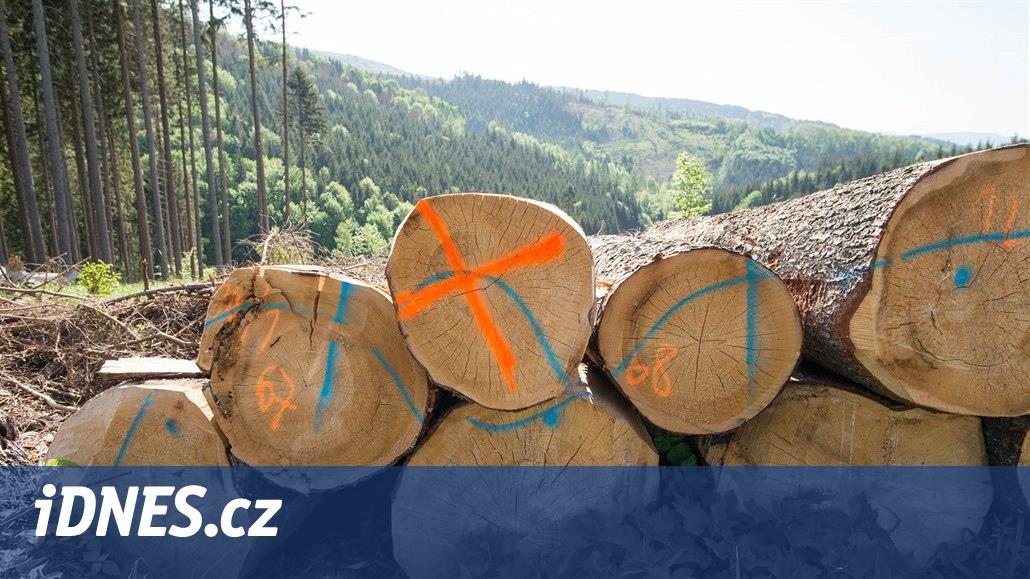 Kůrovcová zkáza. V lesích jsou hromady stromů, palivo přesto nezlevní - iDNES.cz