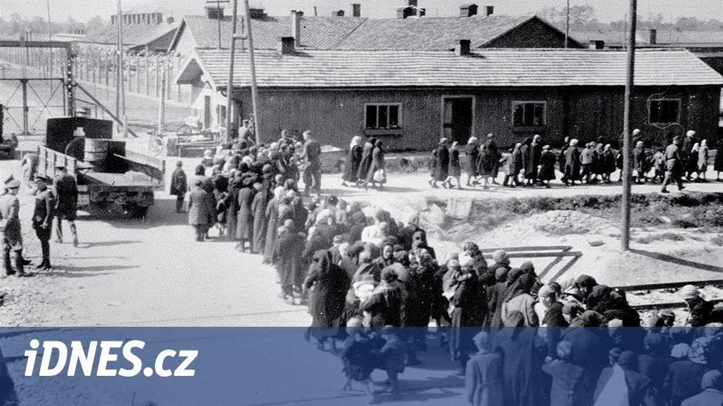 Většina Britů neví, kolik Židů zemřelo za holokaustu. A nezná  kindertransporty - iDNES.cz