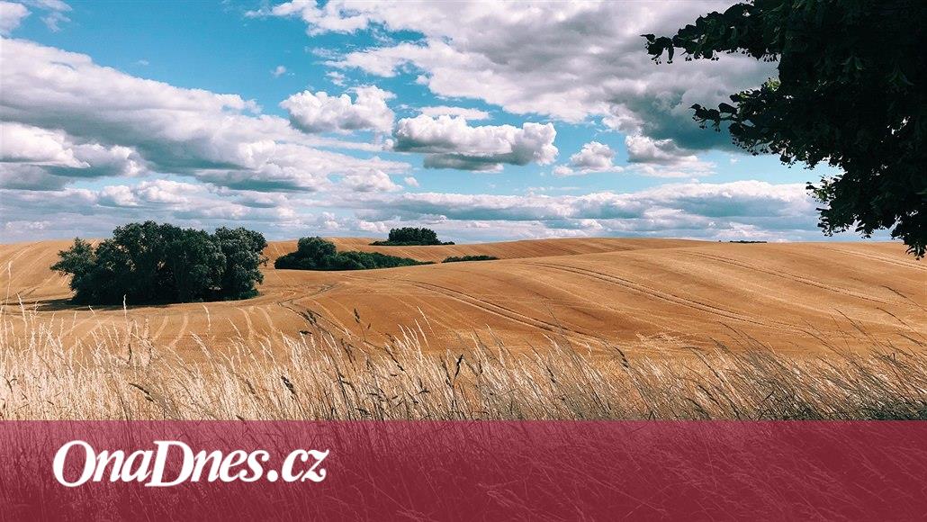 Co nám poví mraky? Věštěte z oblohy jako Řekové, beránci přináší radost