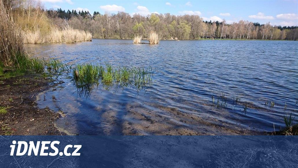 Svitavy, Rosnička göletinde büyük bir temizlikle başlayacak