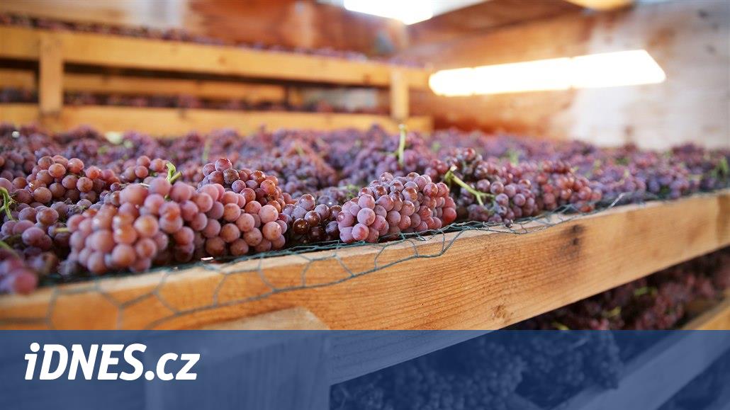 Les juges français ont décidé que le vignoble morave avait le meilleur cadre au monde
