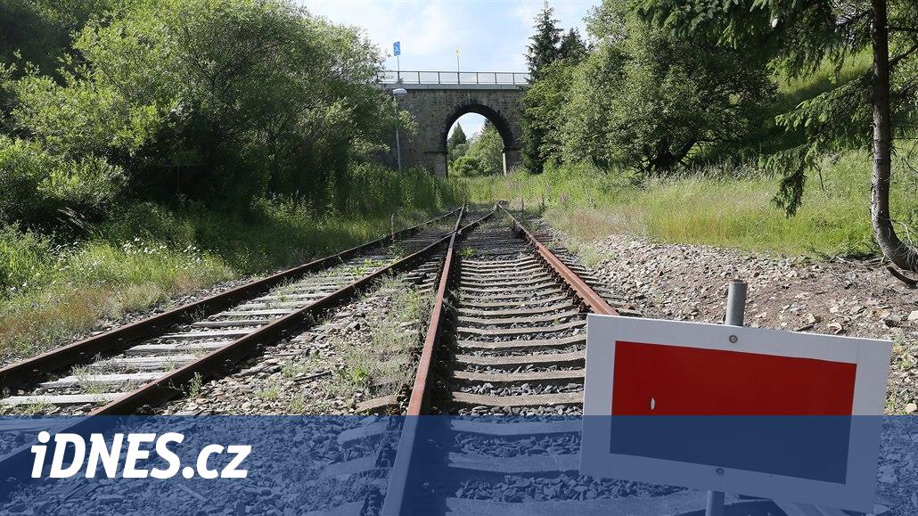 1945'te Saksonya'ya giden rayları yırttılar. Yeni bir projenin onları onarmaya yardımcı olması bekleniyor