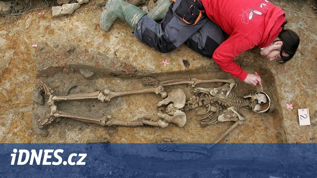 Hradecky Vampýra hareket edecek, tesisler Narnia filminin zemininin yazarı tarafından önerilecek