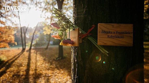 V rozložitelné urně ke stromu. Most chystá přírodní pohřebiště, chtěli ho lidé