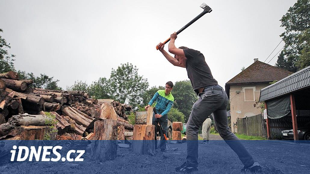 Seller 2024 | Gel odun kes. Bruntál bölgesindeki hararetli topluluklar kış gelmeden yardımcı arıyor