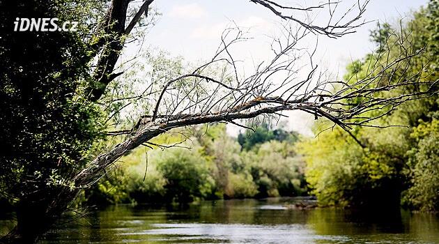 Evet Hareketi, PLA'nın korunmasını iptal etmek için Anayasa Mahkemesine çalışıyor