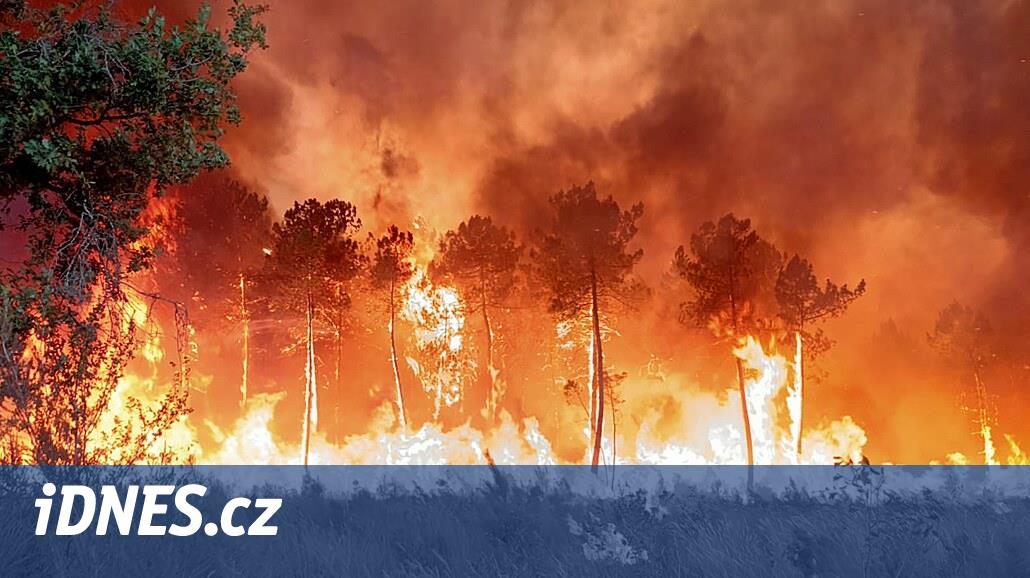 Au moins 300 personnes sont mortes au Portugal et en Espagne en lien avec la canicule